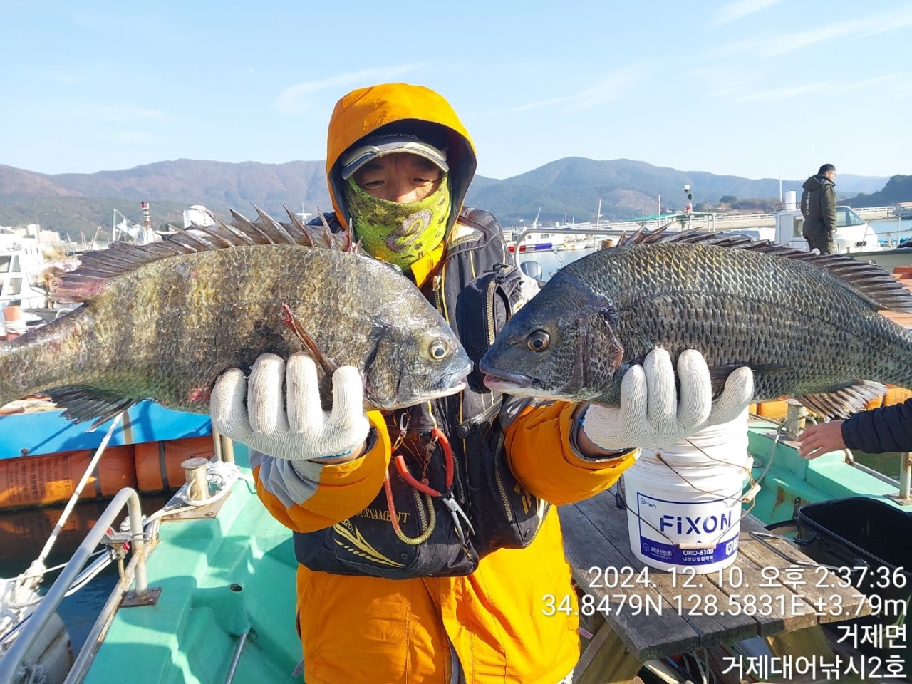 사용자가 올린 이미지