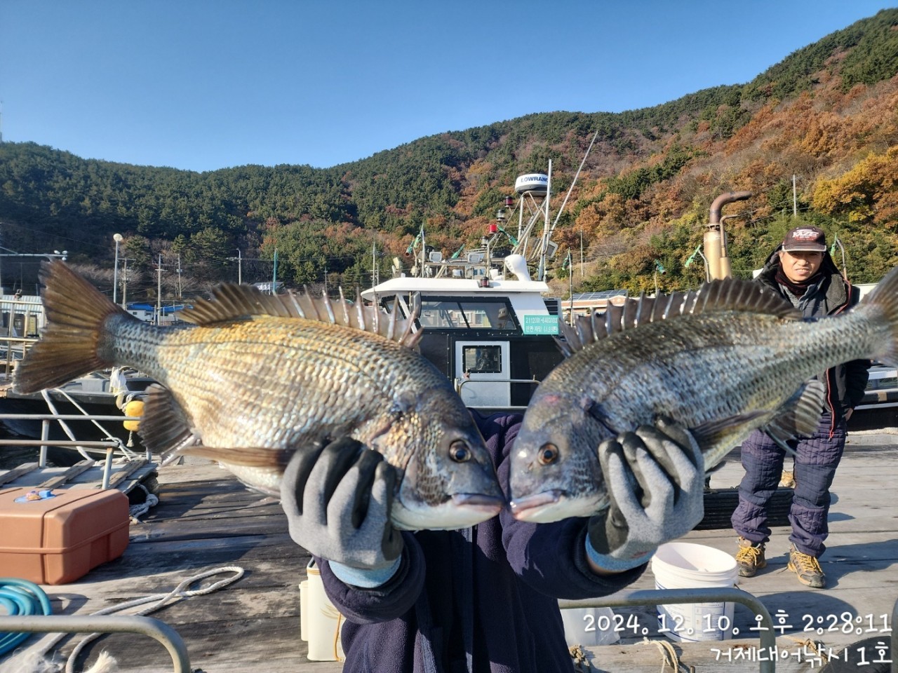 사용자가 올린 이미지