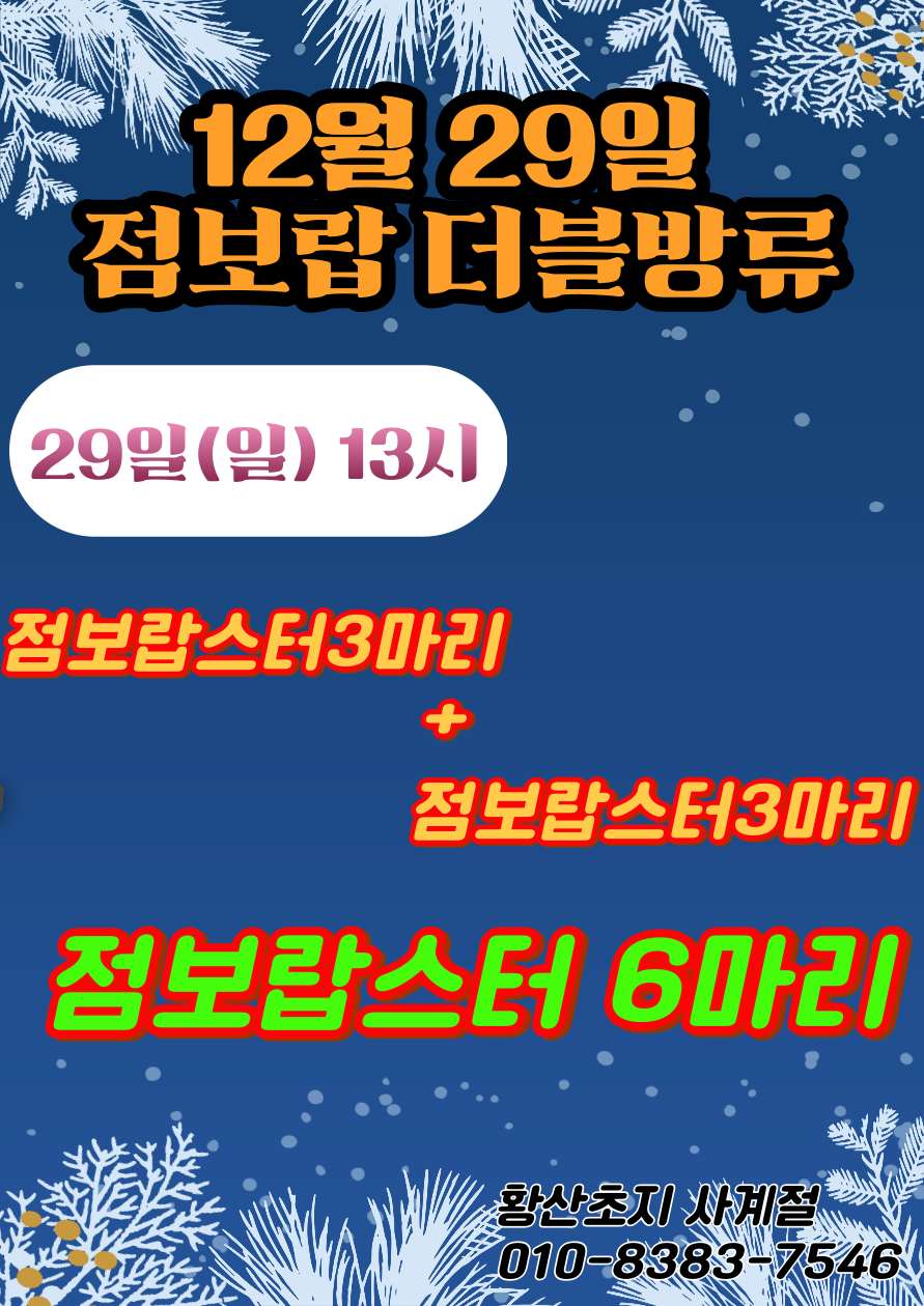 12월 4주 일요일이벤트.png