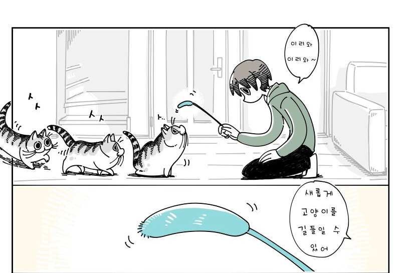 Internet_20240430_111734_1.png 귀여운 고양이 큐루가.manhwa