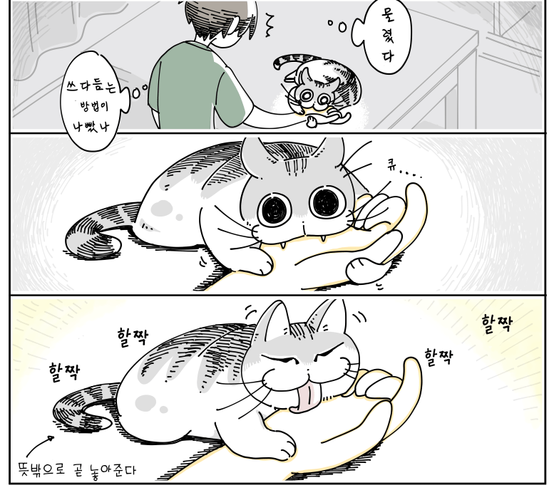 Internet_20240430_111734_20.png 귀여운 고양이 큐루가.manhwa