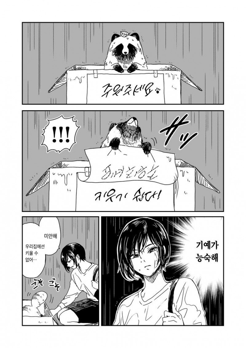 비 오는 날 개 줍는 만화.manhwa