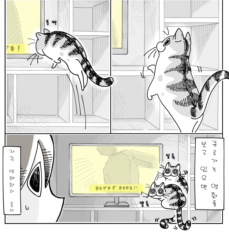 Internet_20240430_111734_26.png 귀여운 고양이 큐루가.manhwa