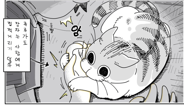 Internet_20240430_111734_16.png 귀여운 고양이 큐루가.manhwa