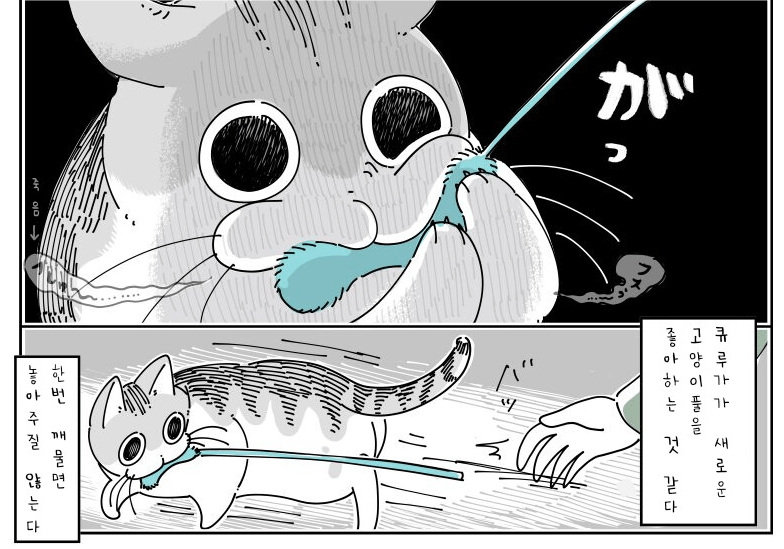 Internet_20240430_111734_4.png 귀여운 고양이 큐루가.manhwa