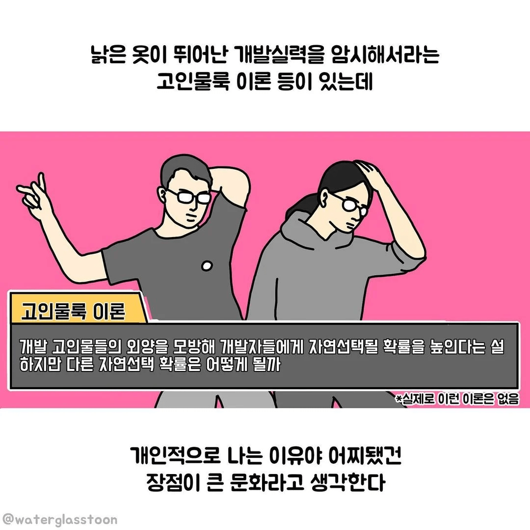 image-41.png 옆에서 지켜본 개발자들 특징.manhwa