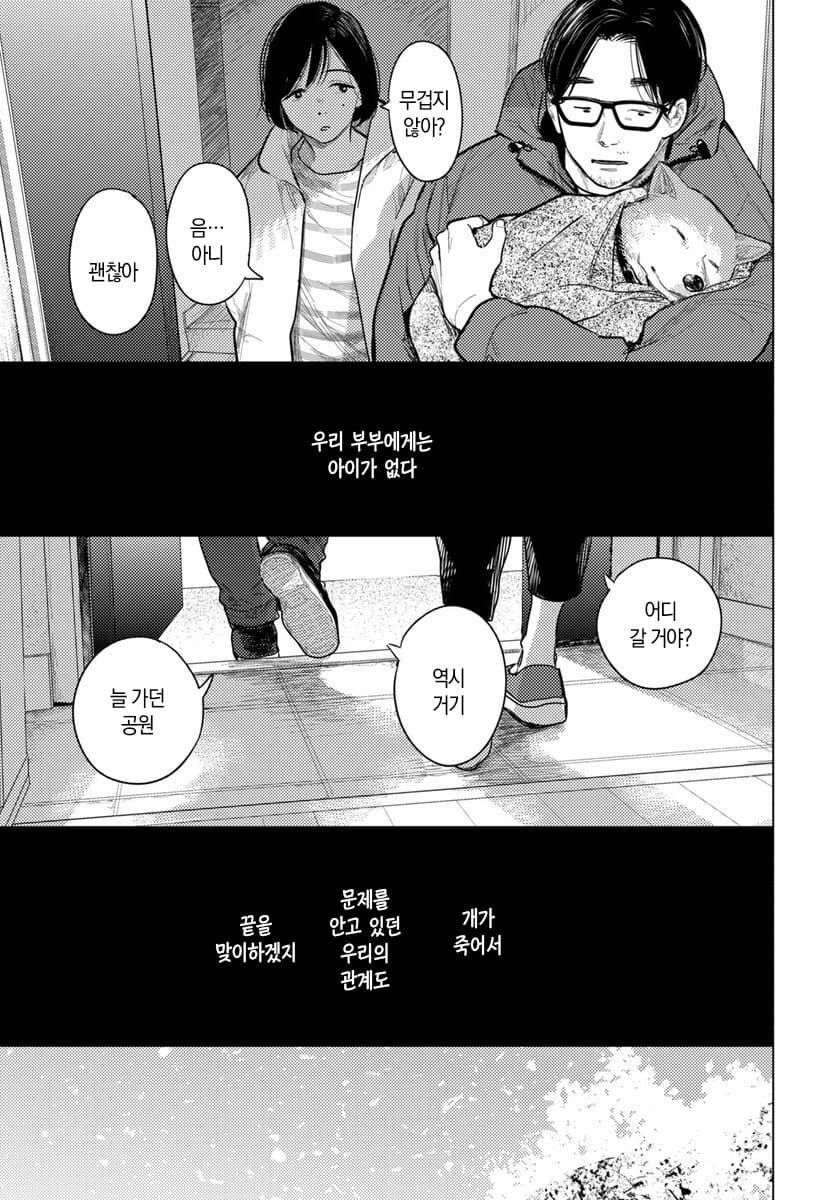 image.png 13년 키우던 강아지가 죽었다.manhwa