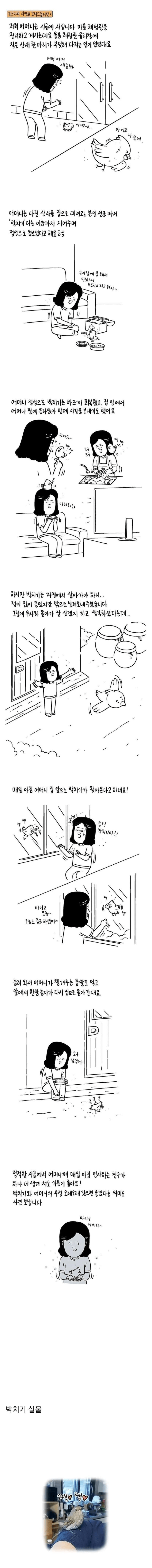 image.png 어머니 집에 찾아온 박치기.manhwa