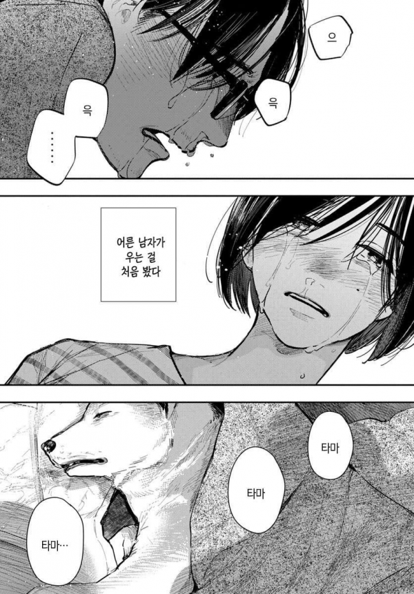 image.png 13년 키우던 강아지가 죽었다.manhwa