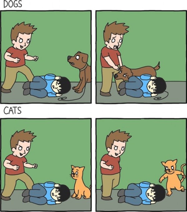 Dogs-vs-Cats.jpg