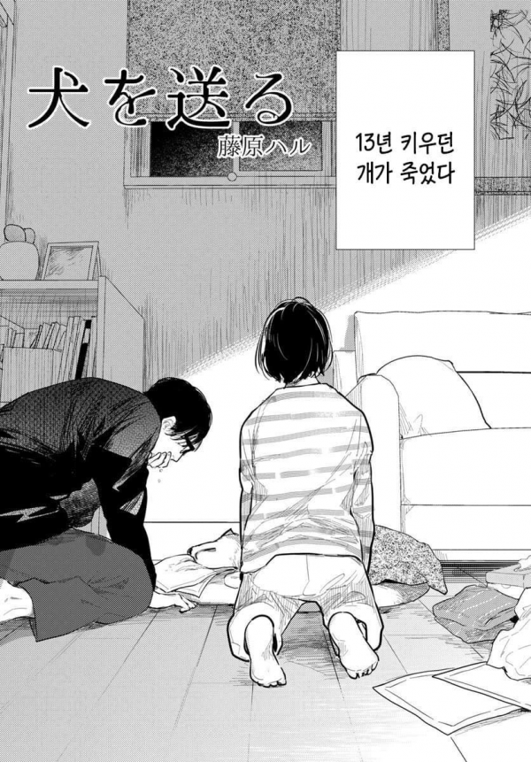 image.png 13년 키우던 강아지가 죽었다.manhwa