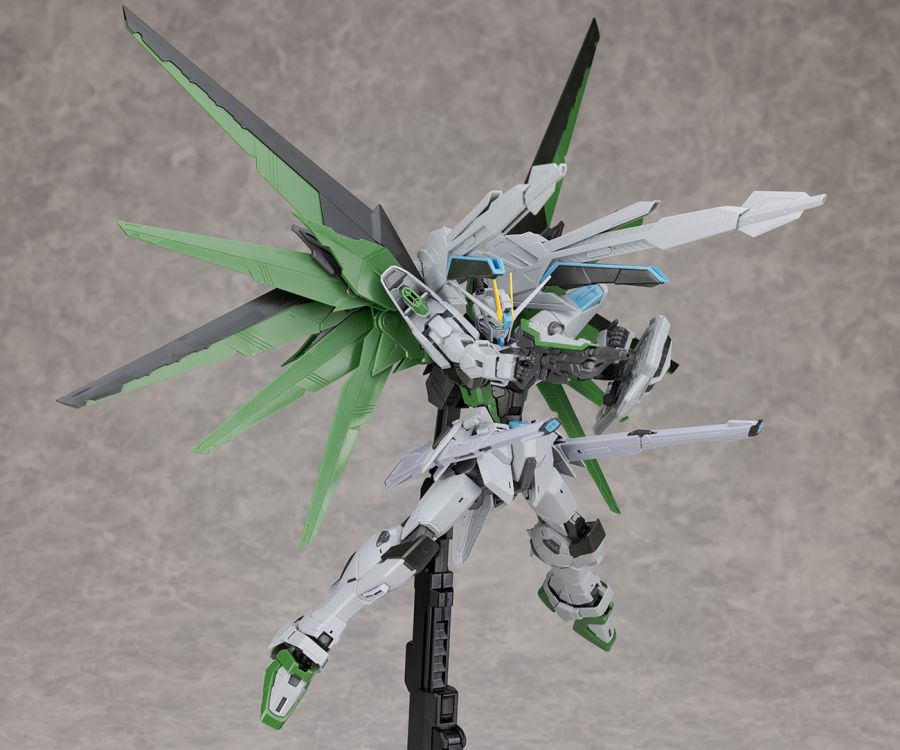 mg_freedomrealtype081.jpg