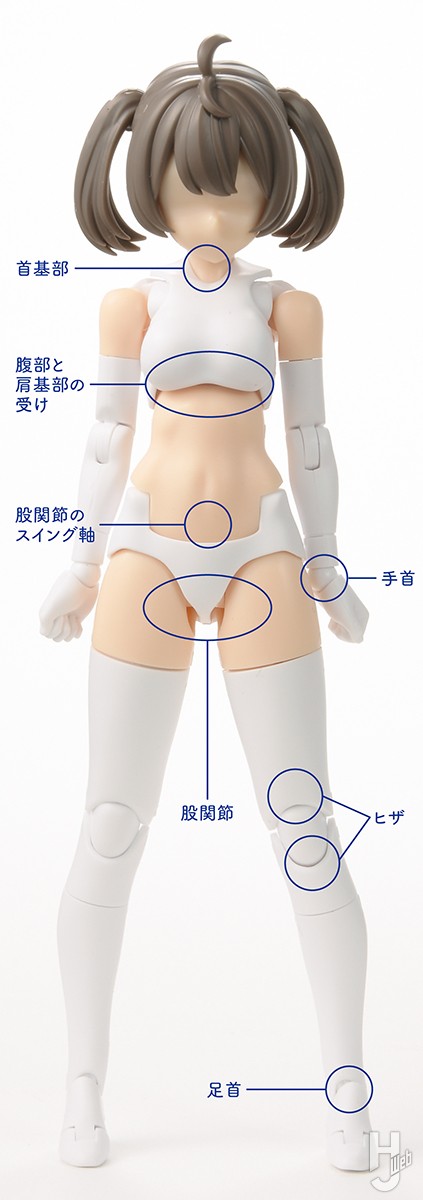 POM関節位置