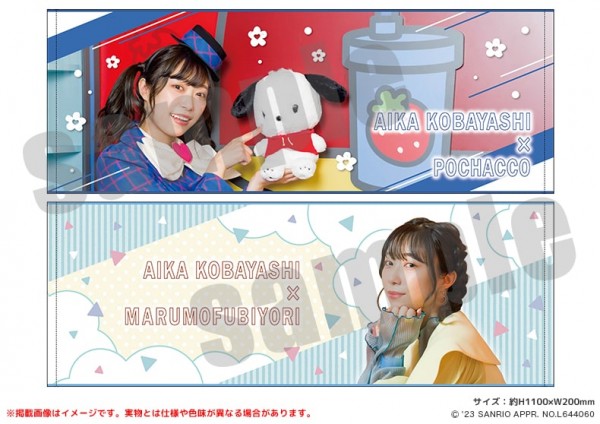 aikyan_sanrio-item14.jpg