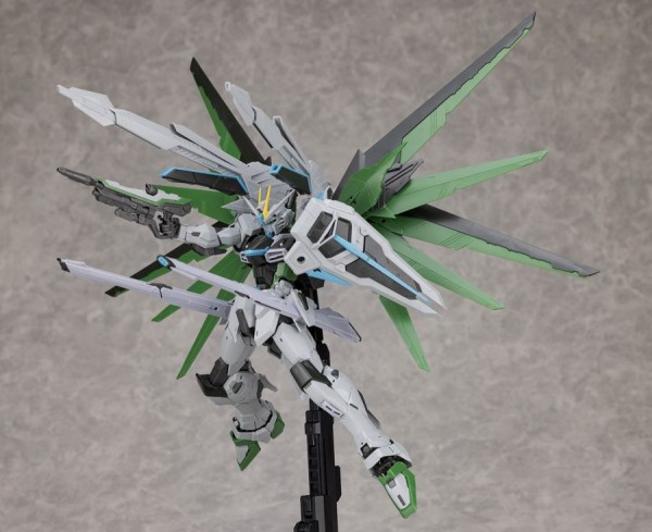 mg_freedomrealtype080.jpg