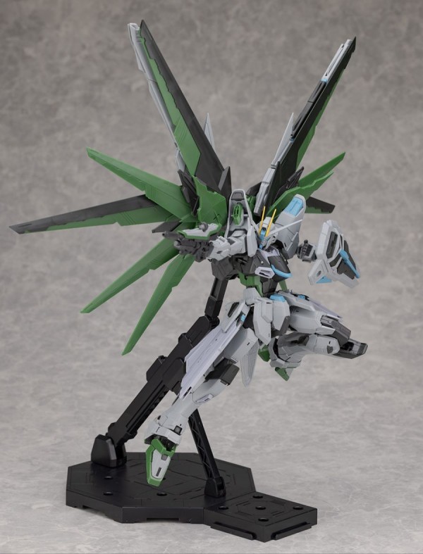 mg_freedomrealtype066.jpg