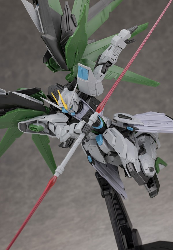 mg_freedomrealtype078.jpg