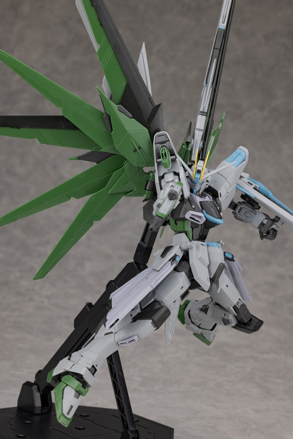 mg_freedomrealtype067.jpg