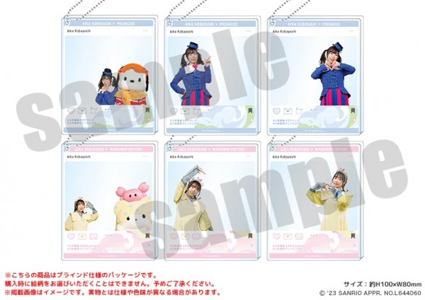 aikyan_sanrio-item02.jpg