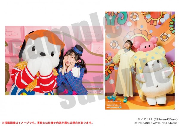 aikyan_sanrio-item05.jpg