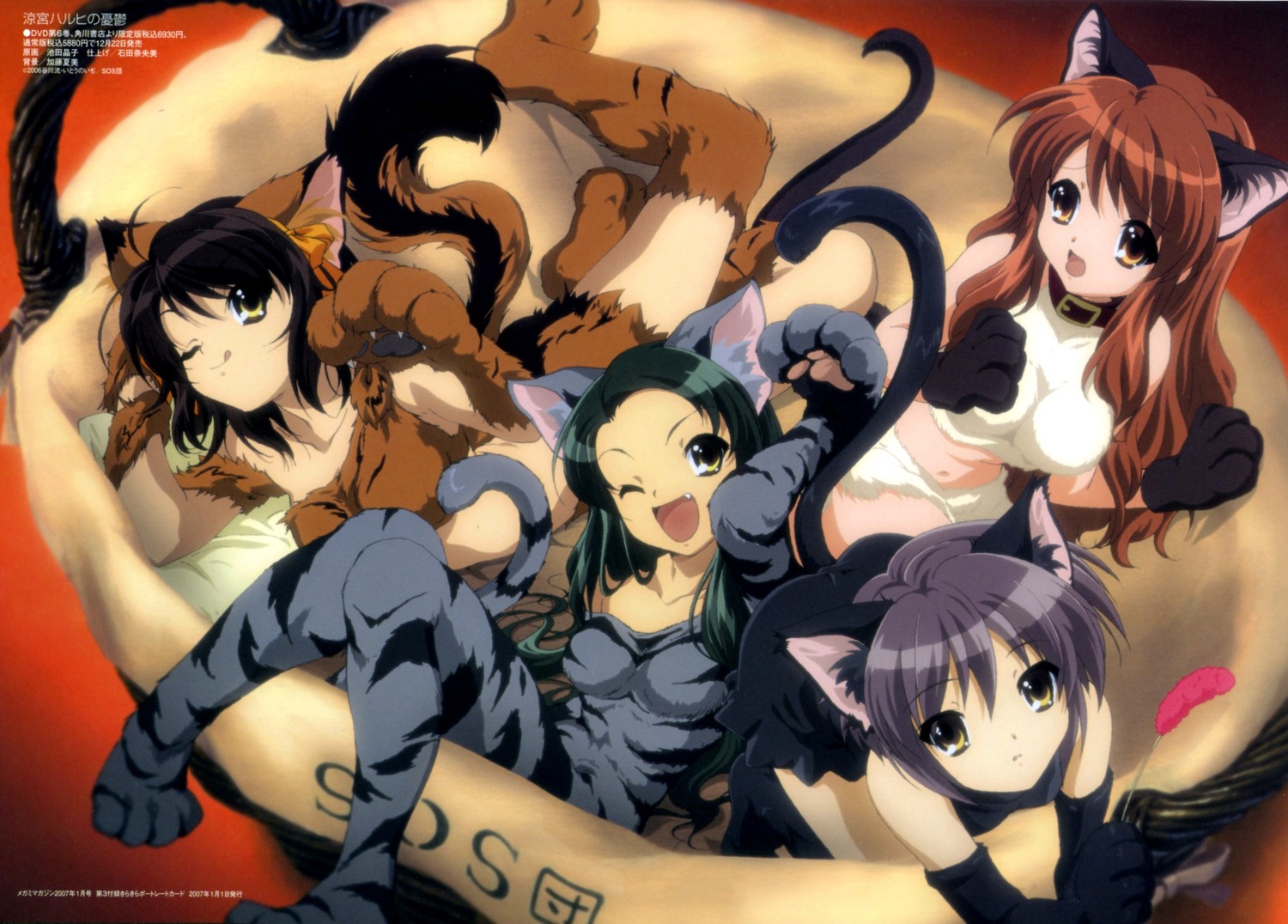 animal_ears asahina_mikuru bodysuit dress ikeda_shouko nagato_yuki nekomimi suzumiya_haruhi suzumiya_haruhi_no_yuuutsu tail thighhighs tsuruya