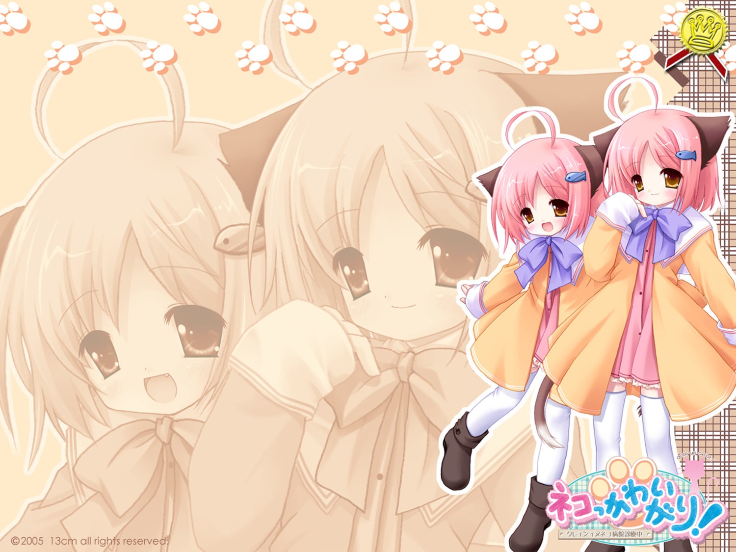 animal_ears natsume_eri neko_kawaii_gari! nekomimi tail wallpaper