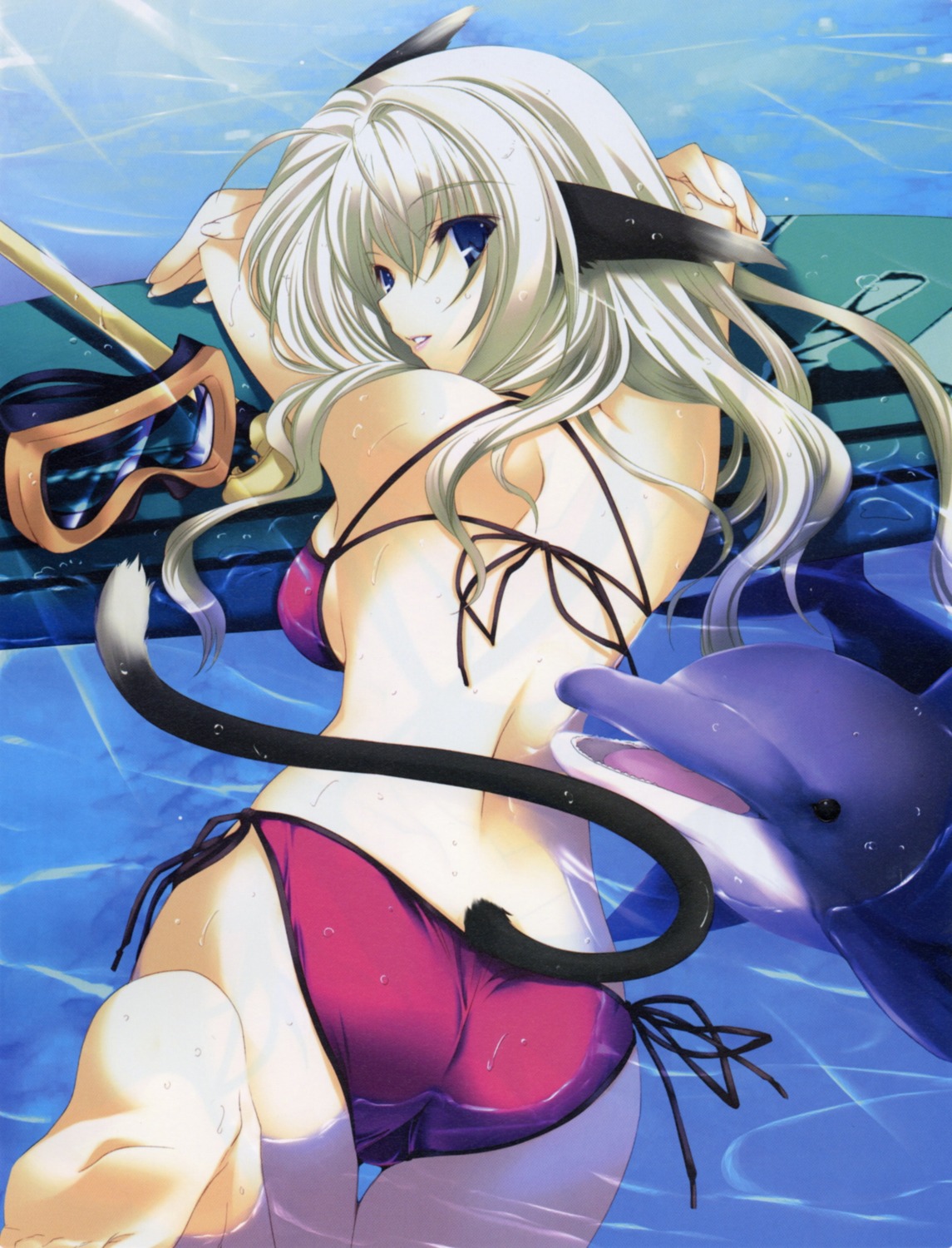 animal_ears bikini bleed_through iizuki_tasuku nekomimi swimsuits tail