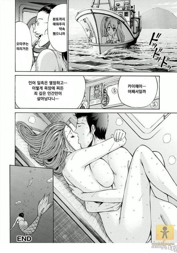 어른 애니망가 인어를 먹는섬 6화