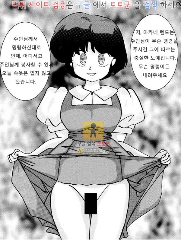 먹튀검증  동인지망가 RANMA AKANE