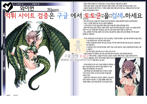 동인지망가 몬스터걸 백과사전 2