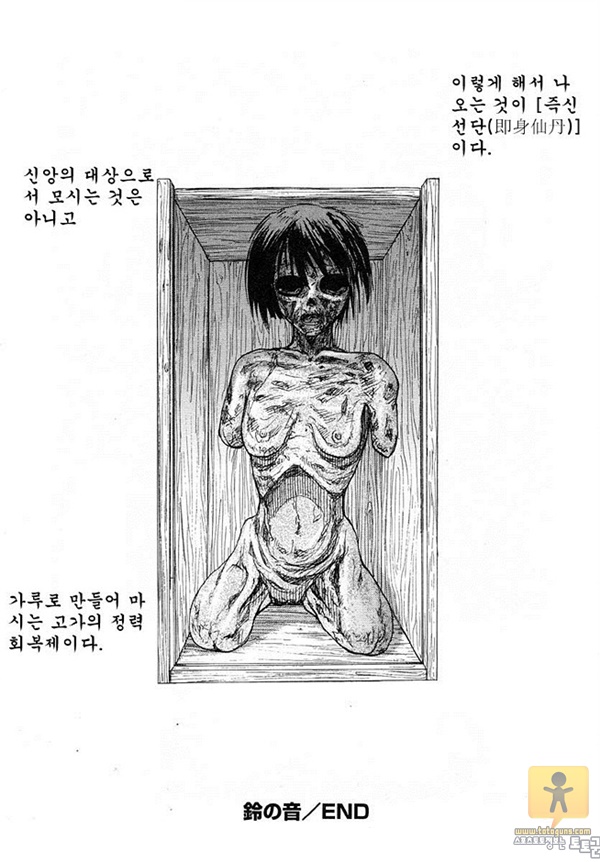 상업지망가 Y 형 해체 신간 서적 상편