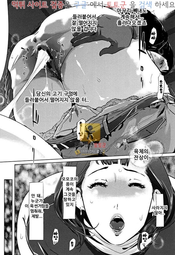 먹튀검증  상업지망가 진줏빛 잔상 상편