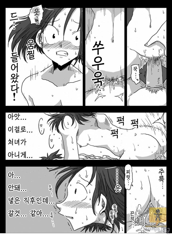 어른 애니망가 정조역전세계 혼욕온천