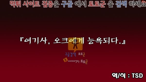 먹튀검증  동인지망가 여기사, 오크에게 능욕당하다 상편