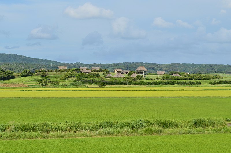 파일:Harunotsuji Ruins, enkei-3.jpg