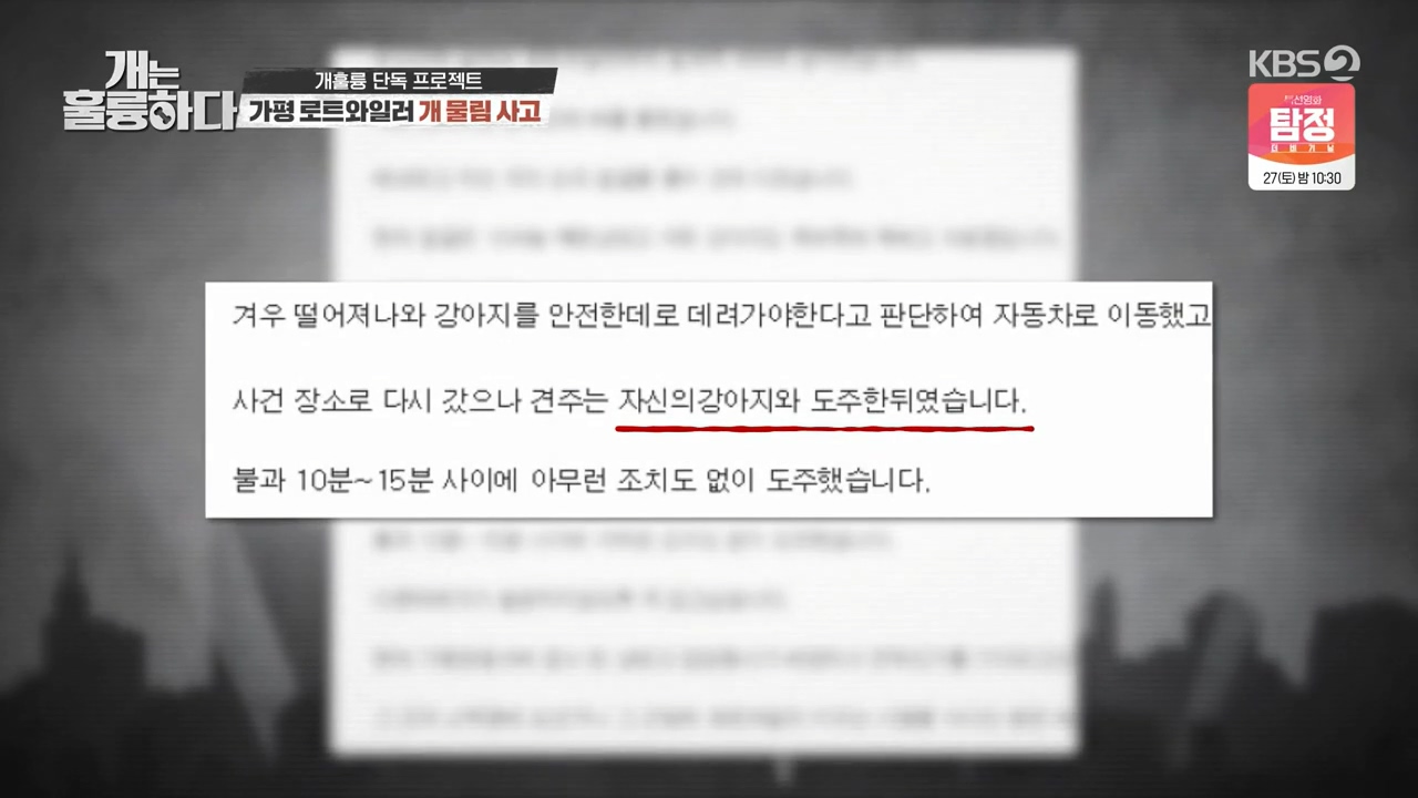 개는 훌륭하다 맹견의 습격 가평 로트와일러 개물림 사고 - 짤티비