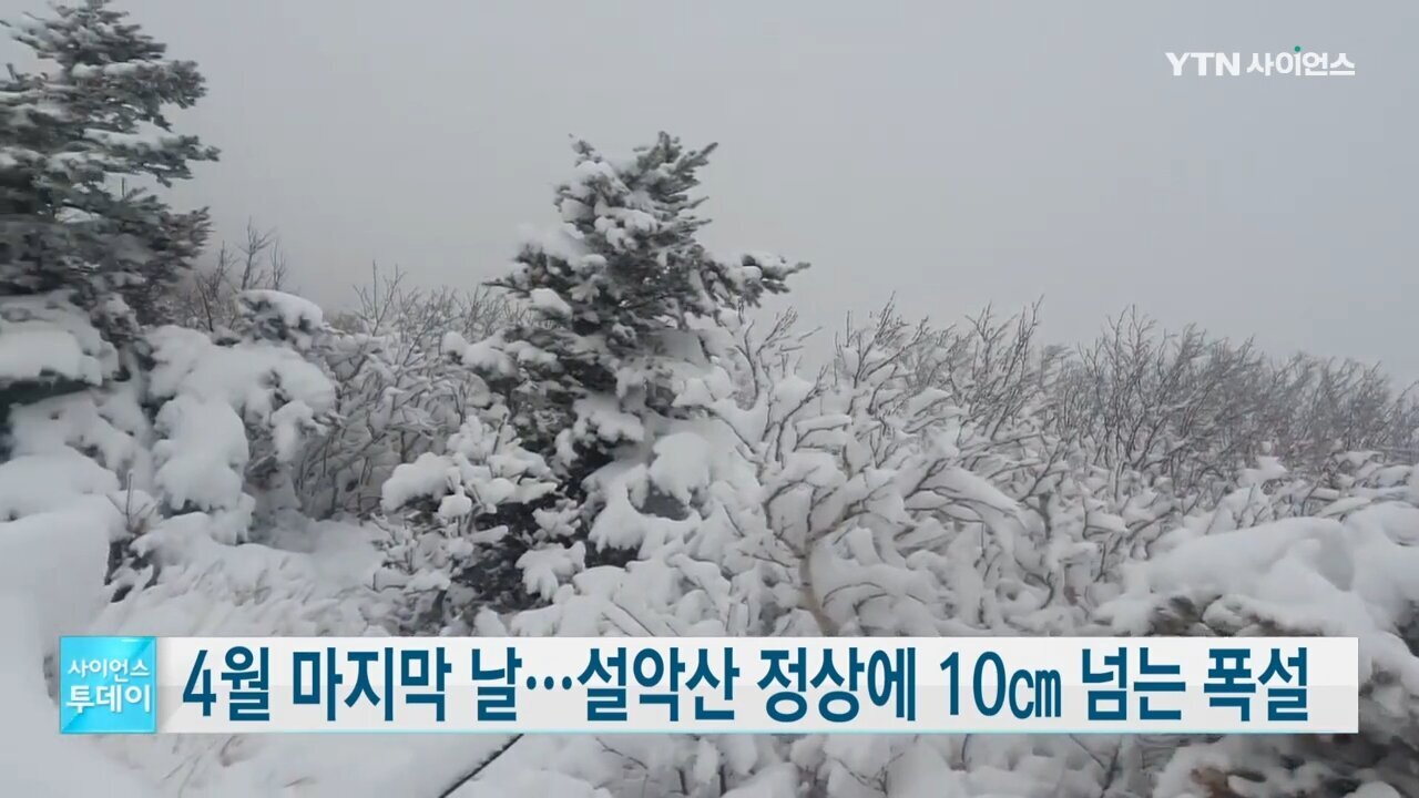 10cm 넘는 폭설이 내린 설악산 정상 - 짤티비