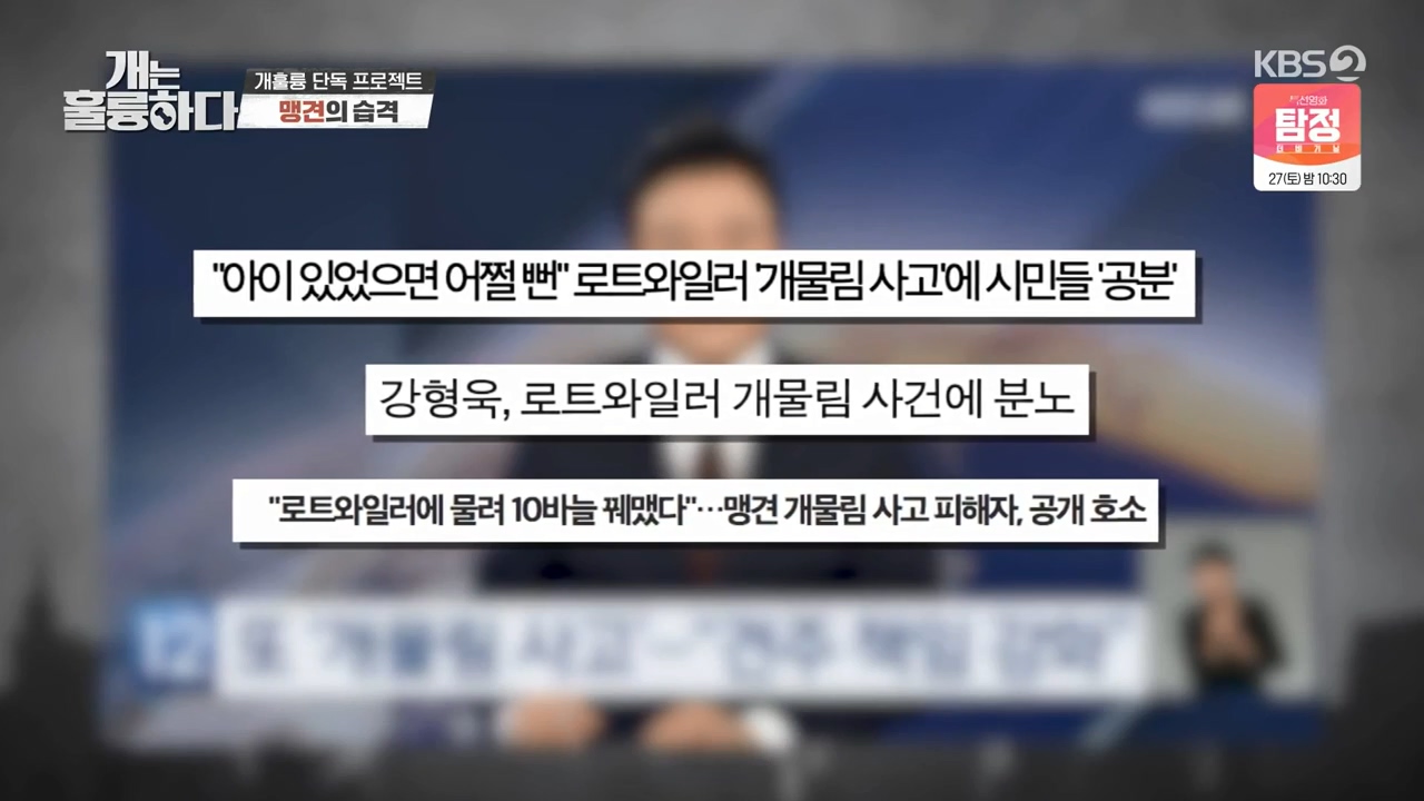 개는 훌륭하다 맹견의 습격 가평 로트와일러 개물림 사고 - 짤티비