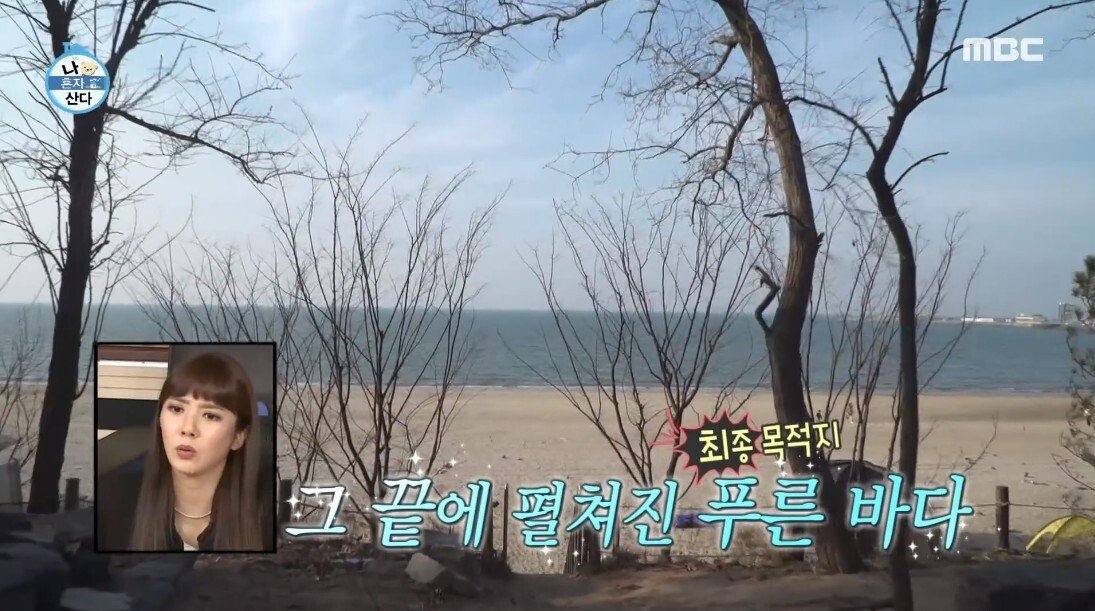 56km를 뛰어 겨울 바다에 도착하자 마자 입수 까지 하는 기안84 - 꾸르