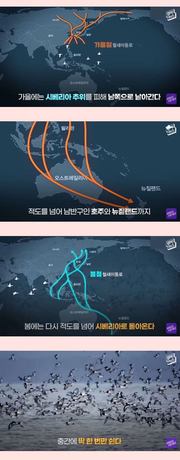 전세계 21개회원국 만장일치 세계에서 가장 중요한 곳 - 짤티비