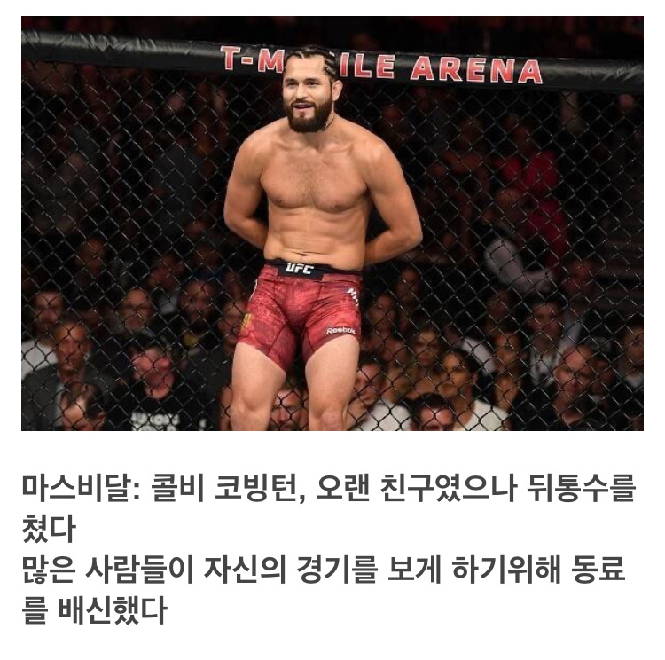 요즘 불교 굿즈 수준UFC가 엔터테인먼트라고 불리우는 이유 - 짤티비