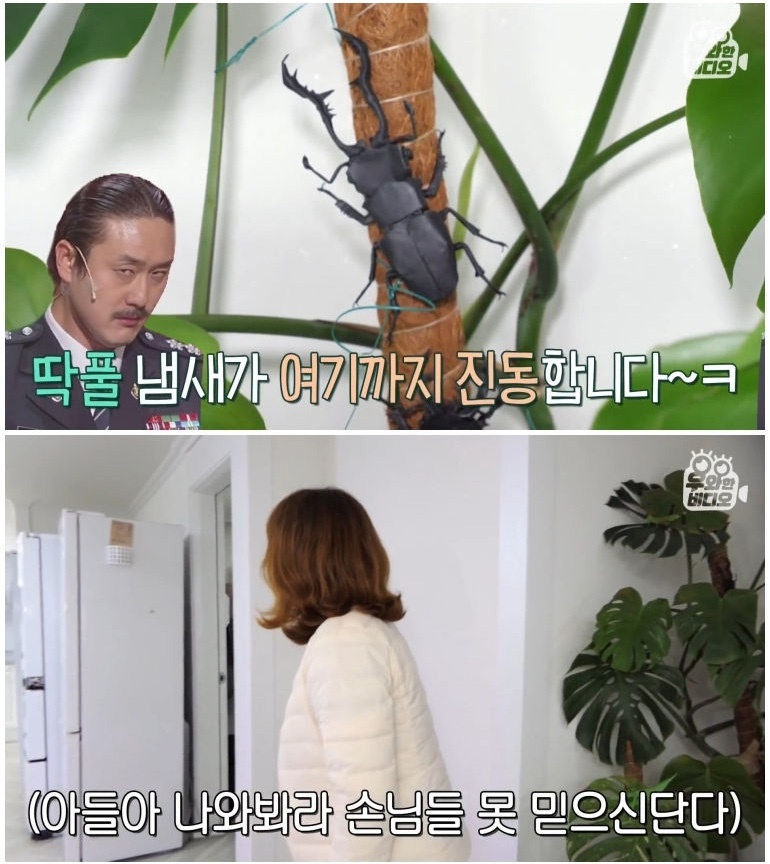 종이 한 장으로 모든 걸 다 접어버리는 남자 - 짤티비