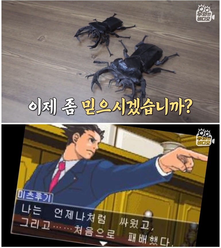 종이 한 장으로 모든 걸 다 접어버리는 남자 - 짤티비