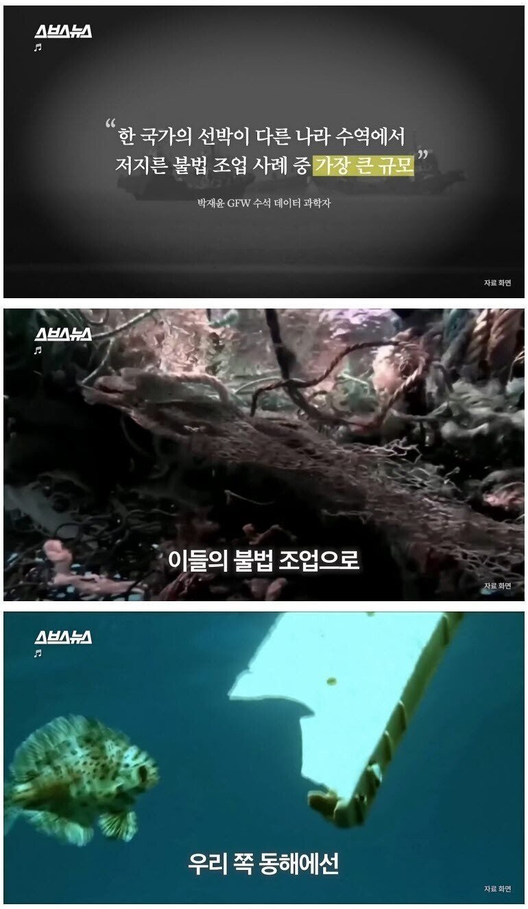 울릉도 앞까지 점령한 중국 불법 어선들