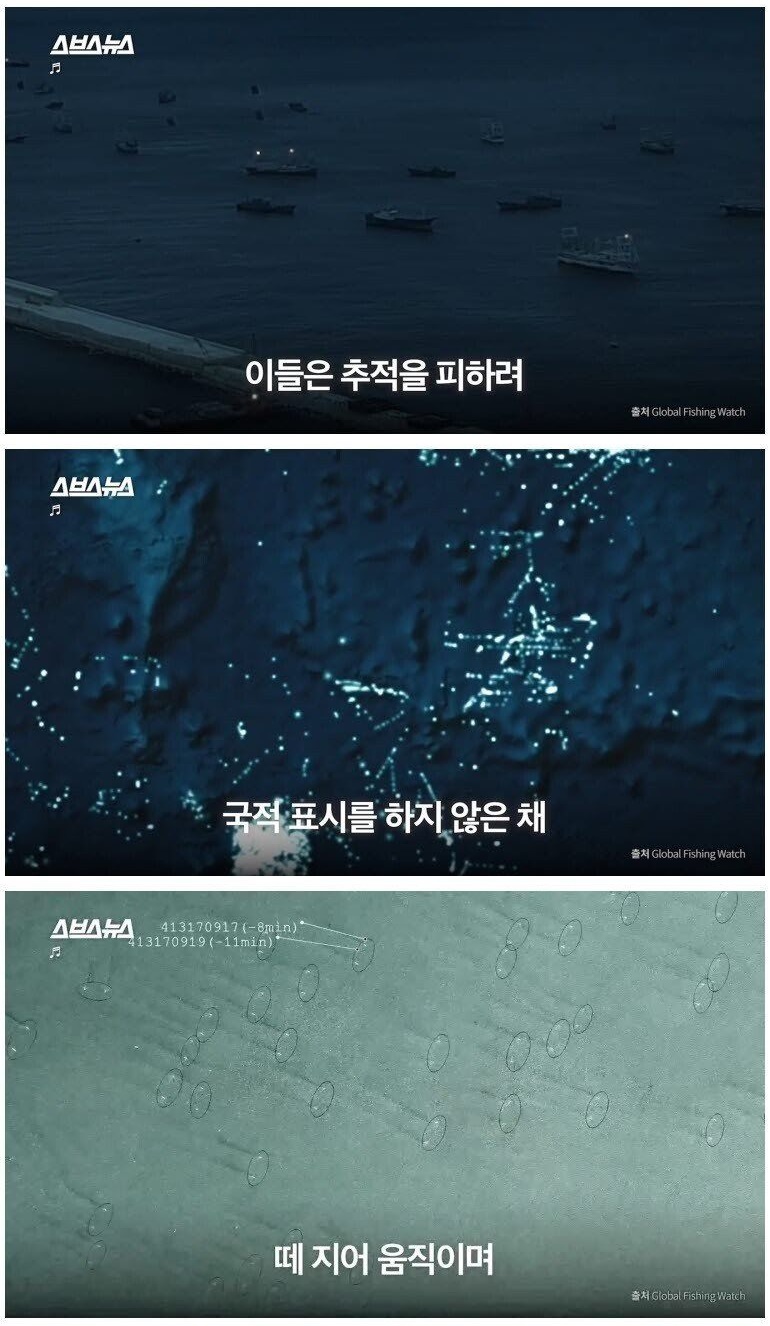 울릉도 앞까지 점령한 중국 불법 어선들