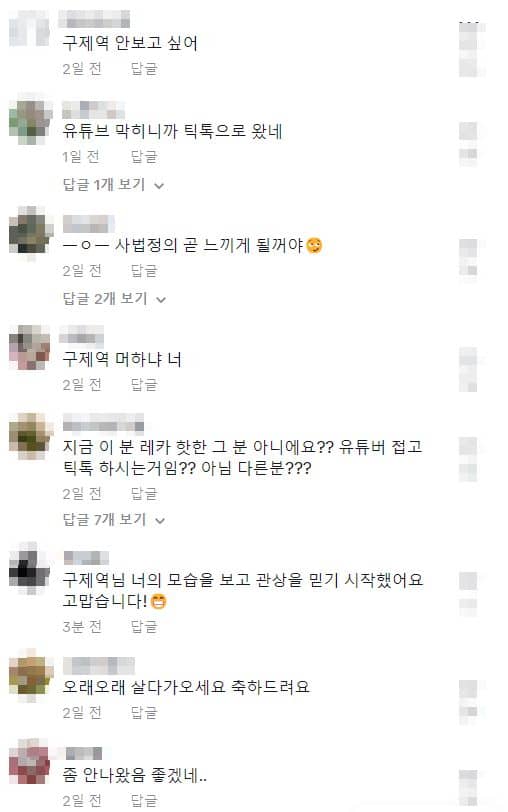 구제역 영상이 게재된 틱톡 채널의 댓글 현황