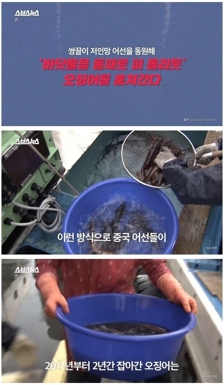 울릉도 앞까지 점령한 중국 불법 어선들