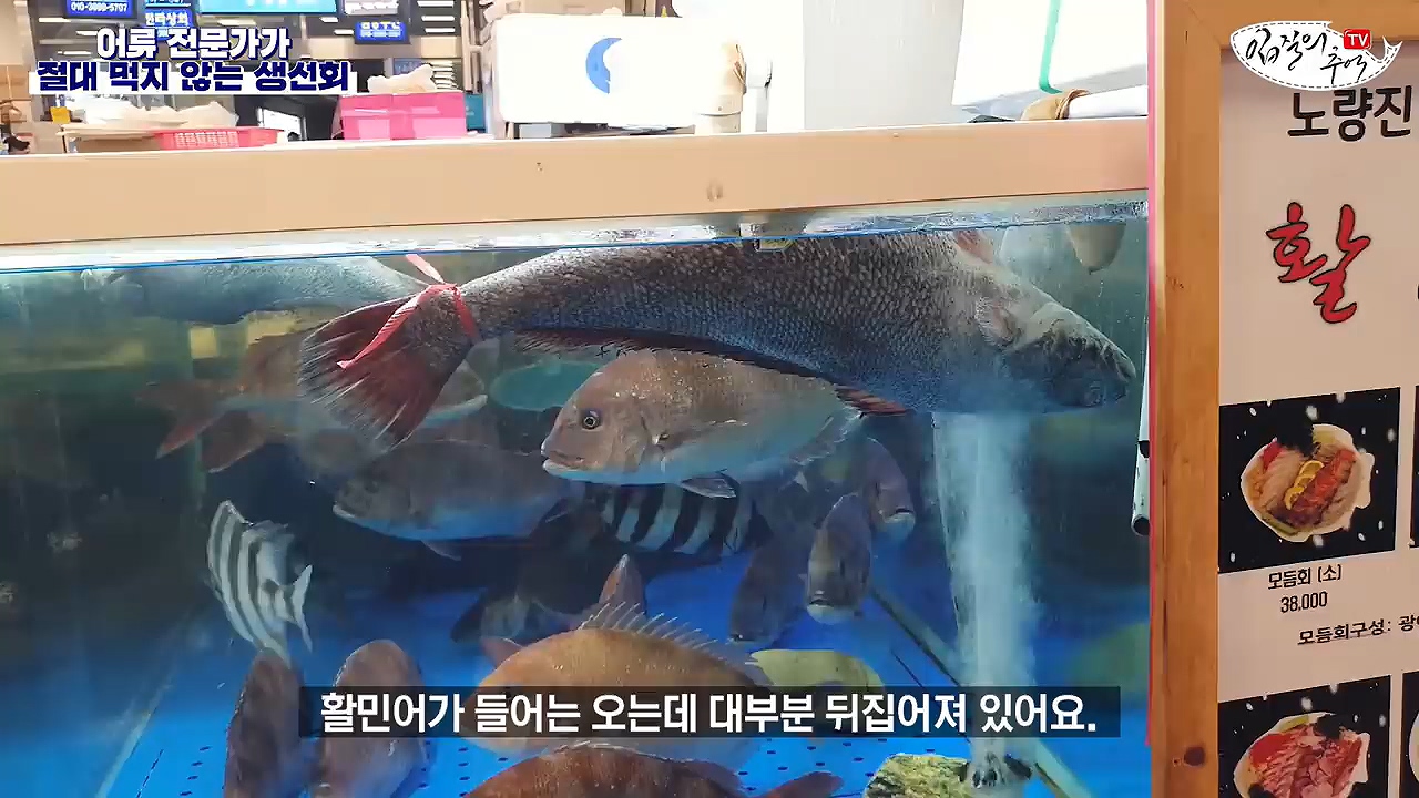 생선회 전문가가 꼽은 절대 먹지 않는 생선회 7개 - 꾸르