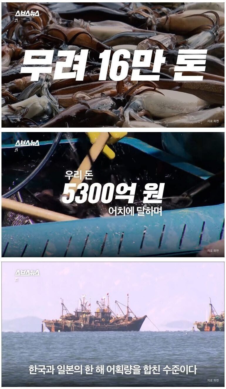 울릉도 앞까지 점령한 중국 불법 어선들