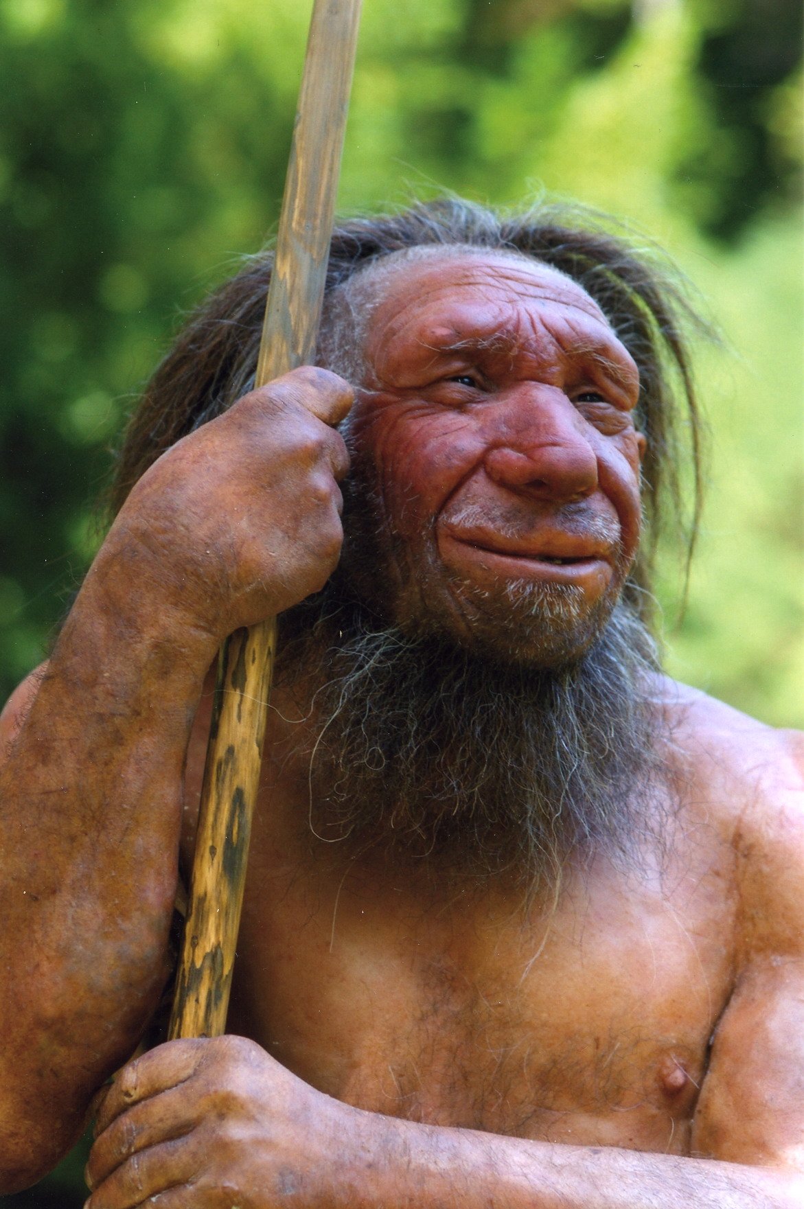 Homo_sapiens_neanderthalensis-Mr._N.jpg 사람이 사람을 먹은 역사: 조상들의 식인